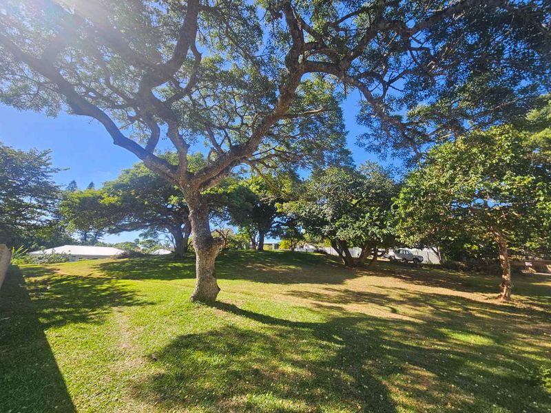 Build Your Tropical Masterpiece in St Lucia 🌿 - Photo 4