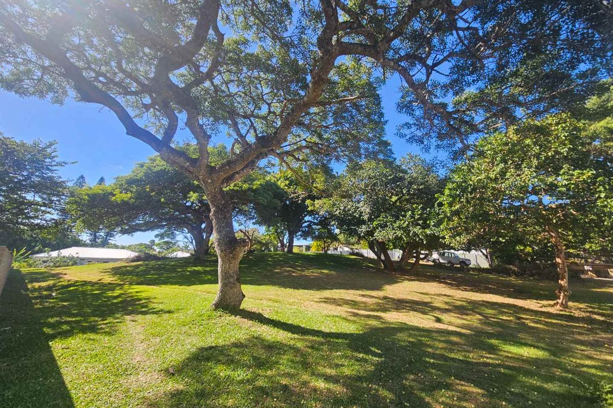 Build Your Tropical Masterpiece in St Lucia 🌿 - Photo 4