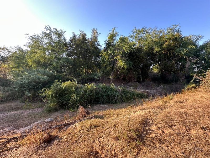 Exceptional Bushveld Stand with River Access - Photo 5