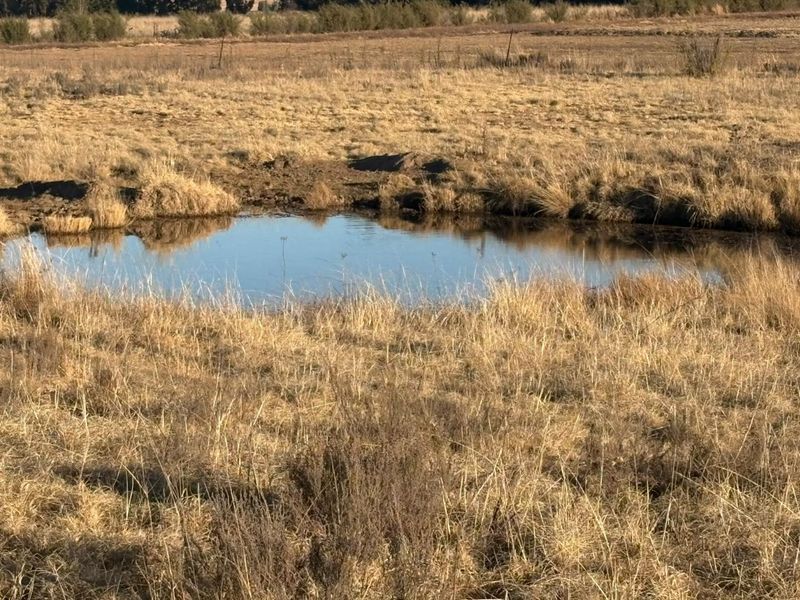 A natural pond situated within the open pasture land of the farm property.
