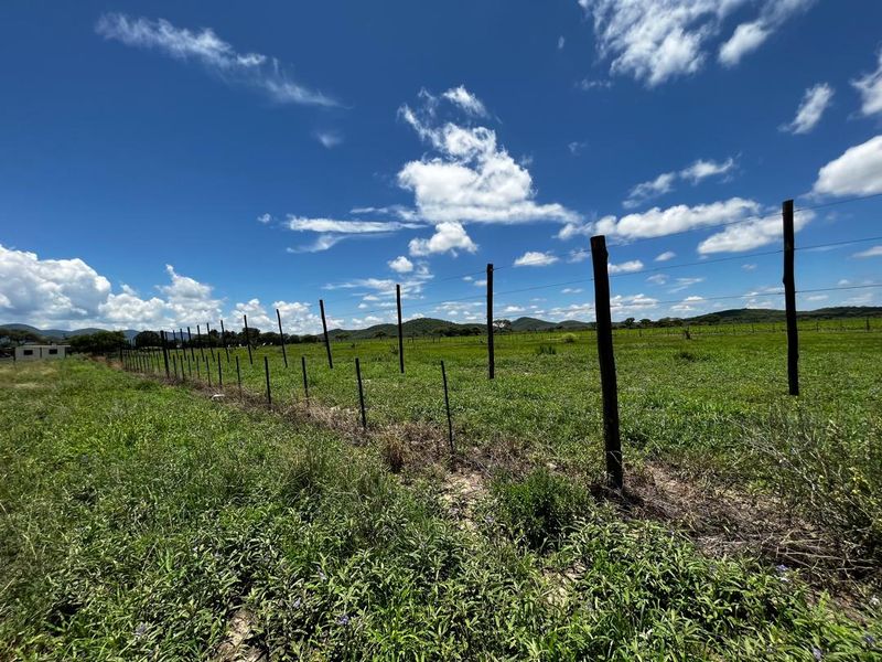 260 hectare agricultural plot, ideal for Centre pivot, feedlot or crop production - Photo 5