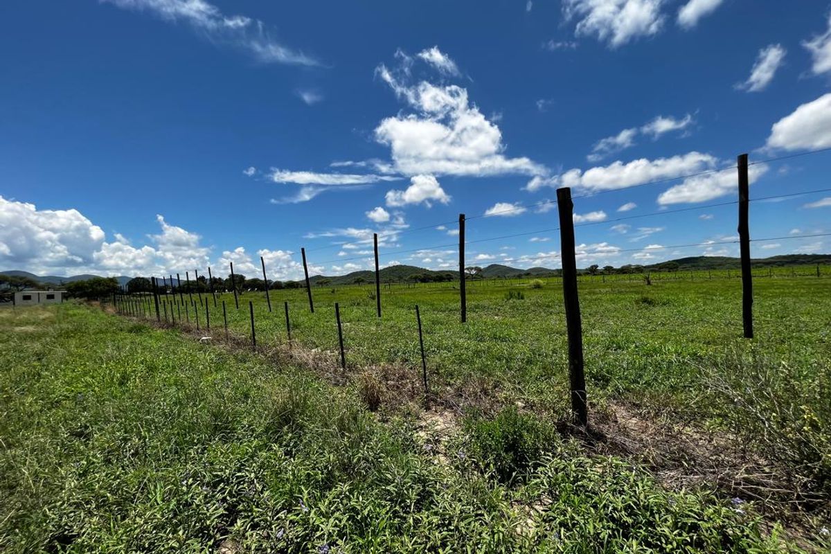 260 hectare agricultural plot, ideal for Centre pivot, feedlot or crop production - Photo 5
