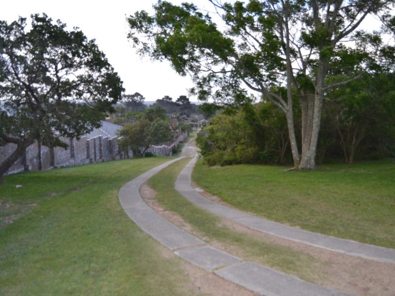 A view of a residential plot featuring a concrete driveway winding through a grassy area with mature trees.