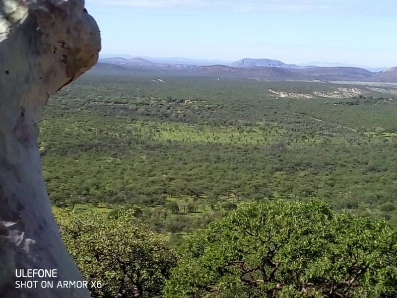 GAME, AGRICULTURAL FARM FOR SALE IN OUTJO AREA - Photo 9