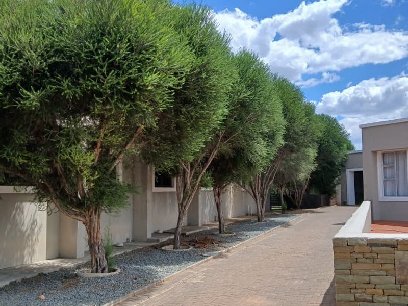 A well-maintained paved driveway lined with mature trees and a stone retaining wall, leading towards the entrance of the property.