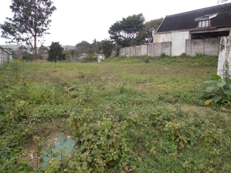 A vacant residential plot featuring sloped terrain and a precast concrete boundary wall, currently covered in overgrown vegetation.