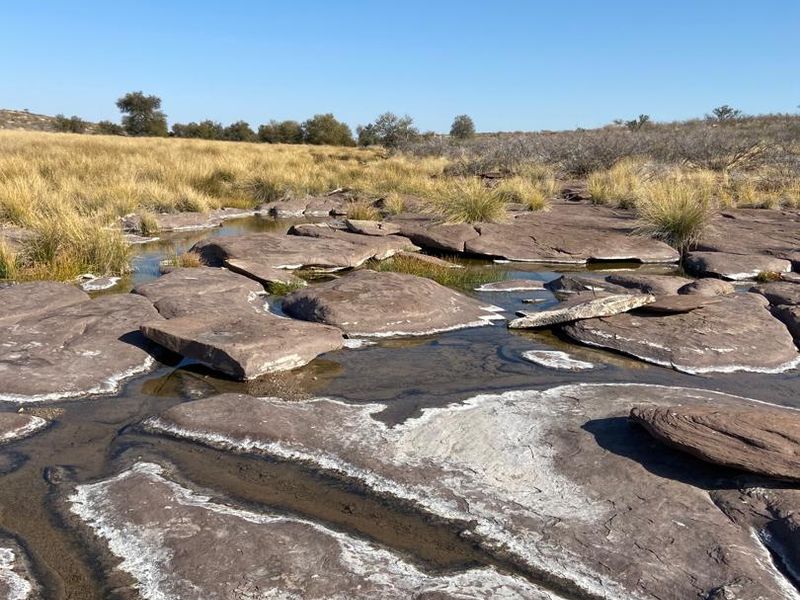 Rural Elegance: 7,749-Hectare Livestock Farm with Comprehensive Improvements - Photo 2