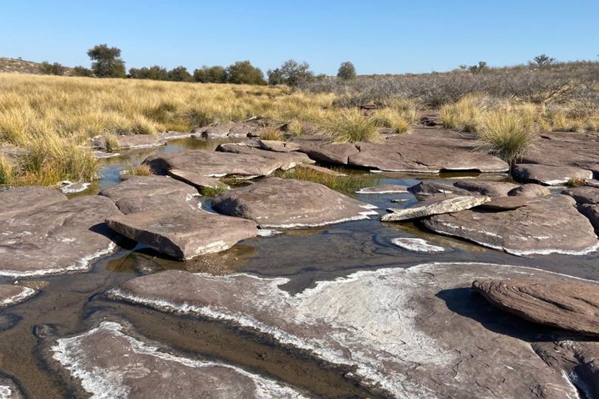 Rural Elegance: 7,749-Hectare Livestock Farm with Comprehensive Improvements - Photo 2