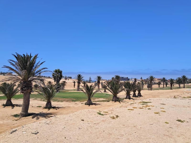 HENTIES BAY LIFESTYLE ESTATE - Photo 7