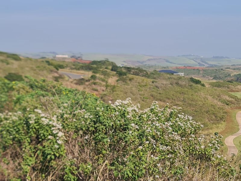 A scenic elevated view of the surrounding landscape, featuring rolling hills, natural vegetation, and a winding paved pathway through the estate grounds.