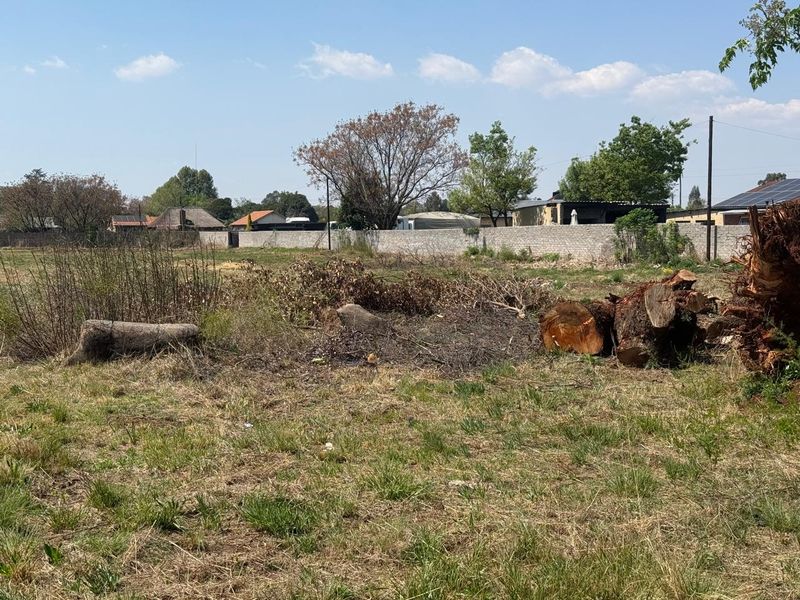 A view of a vacant residential plot featuring natural grass, scattered tree debris, and a perimeter boundary wall.