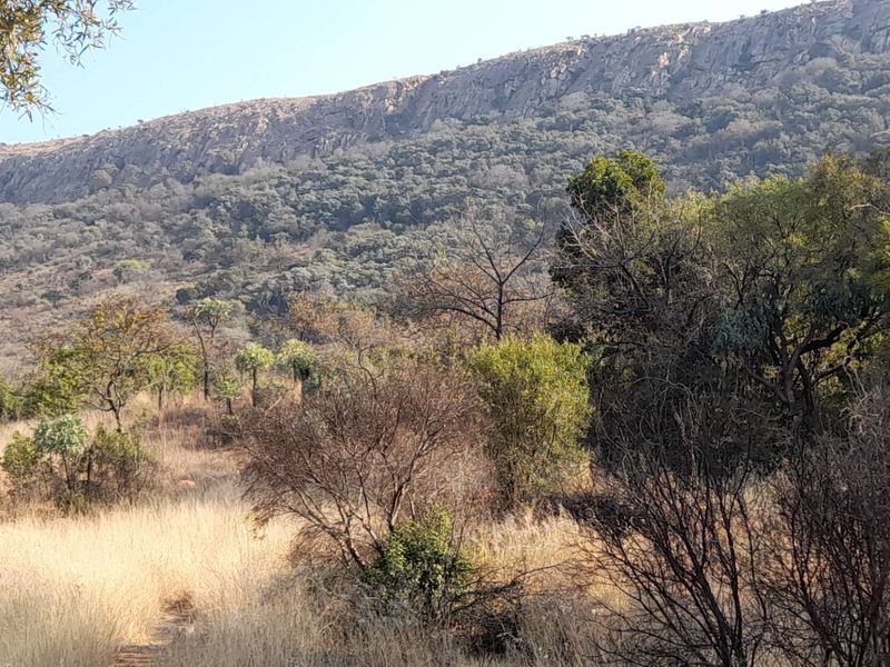 Secure, Scenic Vacant Stand in Kameeldrift West Awaits You! - Photo 5