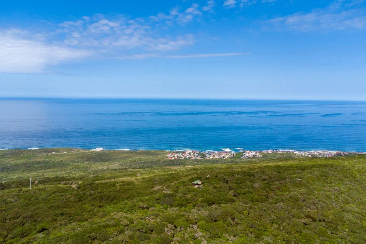 One of the Last Coastal Development Opportunities in Seaview | 25ha with Planning Work Already Done - Photo 2