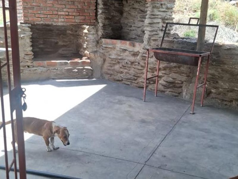 Covered outdoor patio area featuring a rustic built-in brick fireplace and stone masonry wall, providing a functional space for outdoor entertainment.
