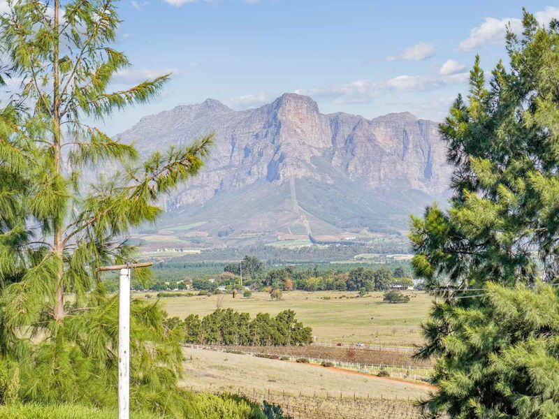 Farm with Opportunities in Drakenstein Rural - Photo 3