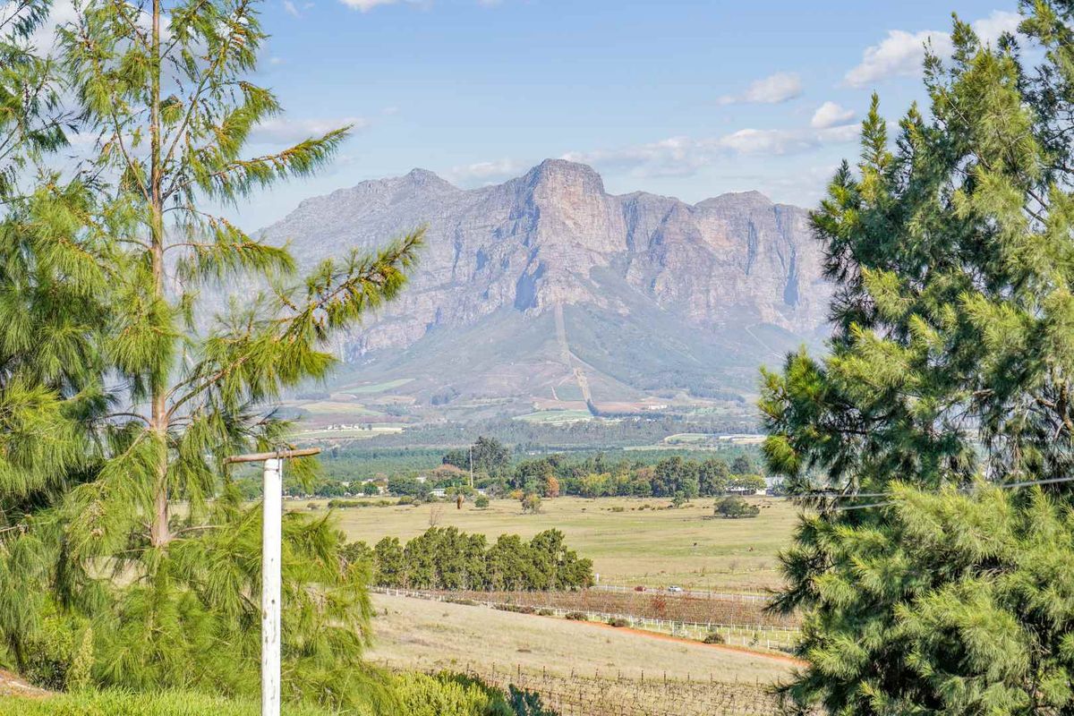 Farm with Opportunities in Drakenstein Rural - Photo 3