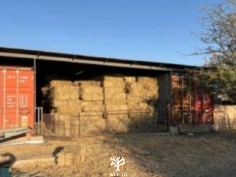 FARM FOR SALE IN GROOTFONTEIN - Photo 4