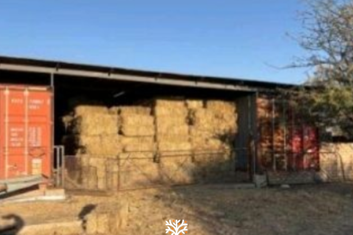 FARM FOR SALE IN GROOTFONTEIN - Photo 4