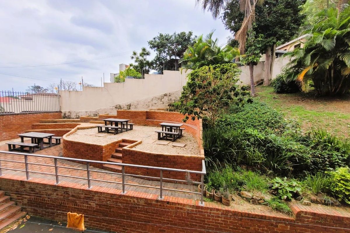Newly Renovated 2 Bedroom Apartment - Valley View Avenue - Morningside - Photo 3