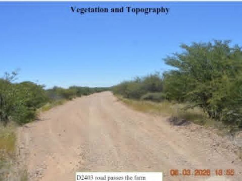 A view of the gravel road providing access to the farm, surrounded by natural vegetation and open landscape.