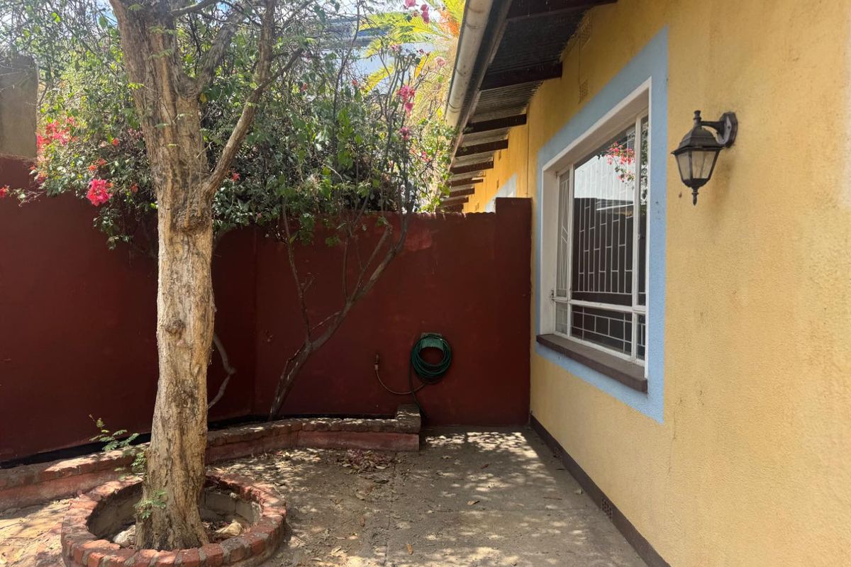 A side exterior area featuring a concrete pathway, a brick-enclosed tree planter, and a wall-mounted outdoor light fixture.