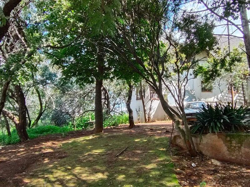 Bassonia Gem: Endless Potential on 4720sqm Stand!!! - Photo 2