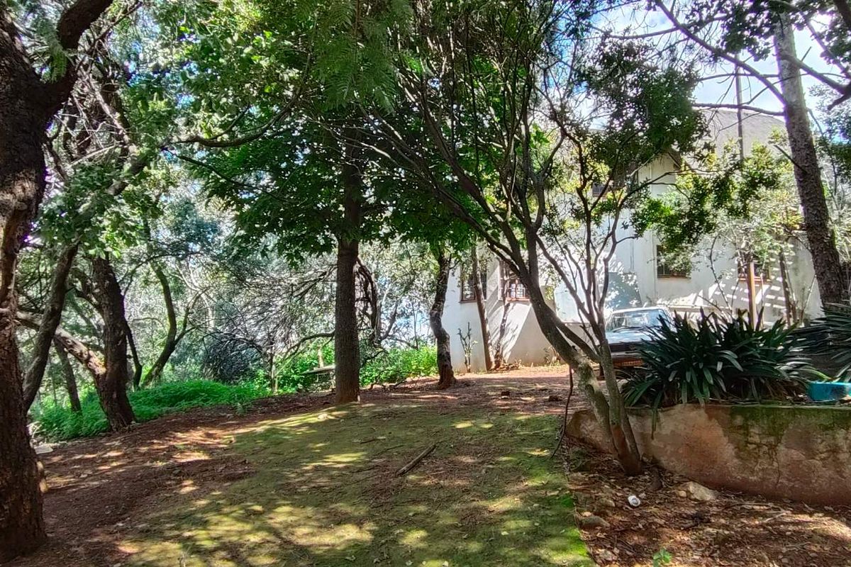 Bassonia Gem: Endless Potential on 4720sqm Stand!!! - Photo 2