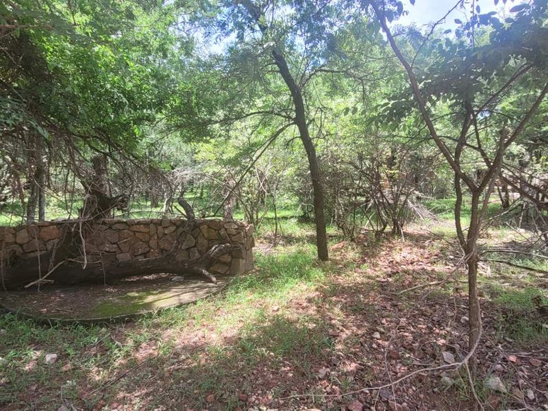 Tranquil Corner Stand - Prime Location - Photo 3