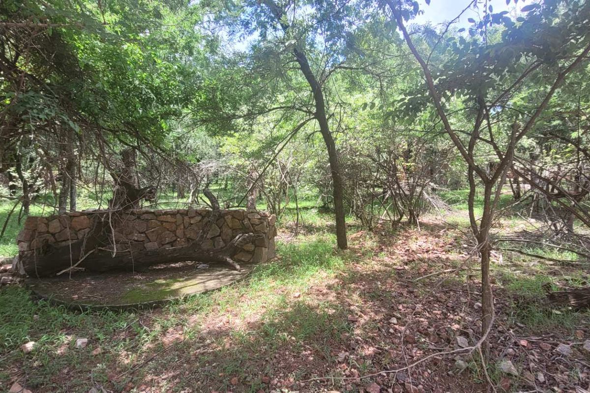 Tranquil Corner Stand - Prime Location - Photo 3