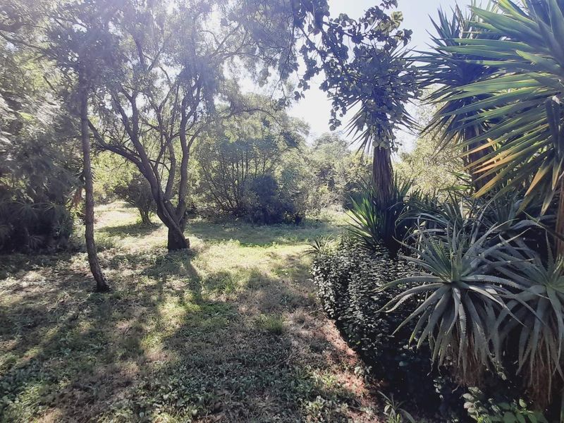 "Kosmos Ridge: Luxury Living with Nature's Backdrop!" - Photo 6