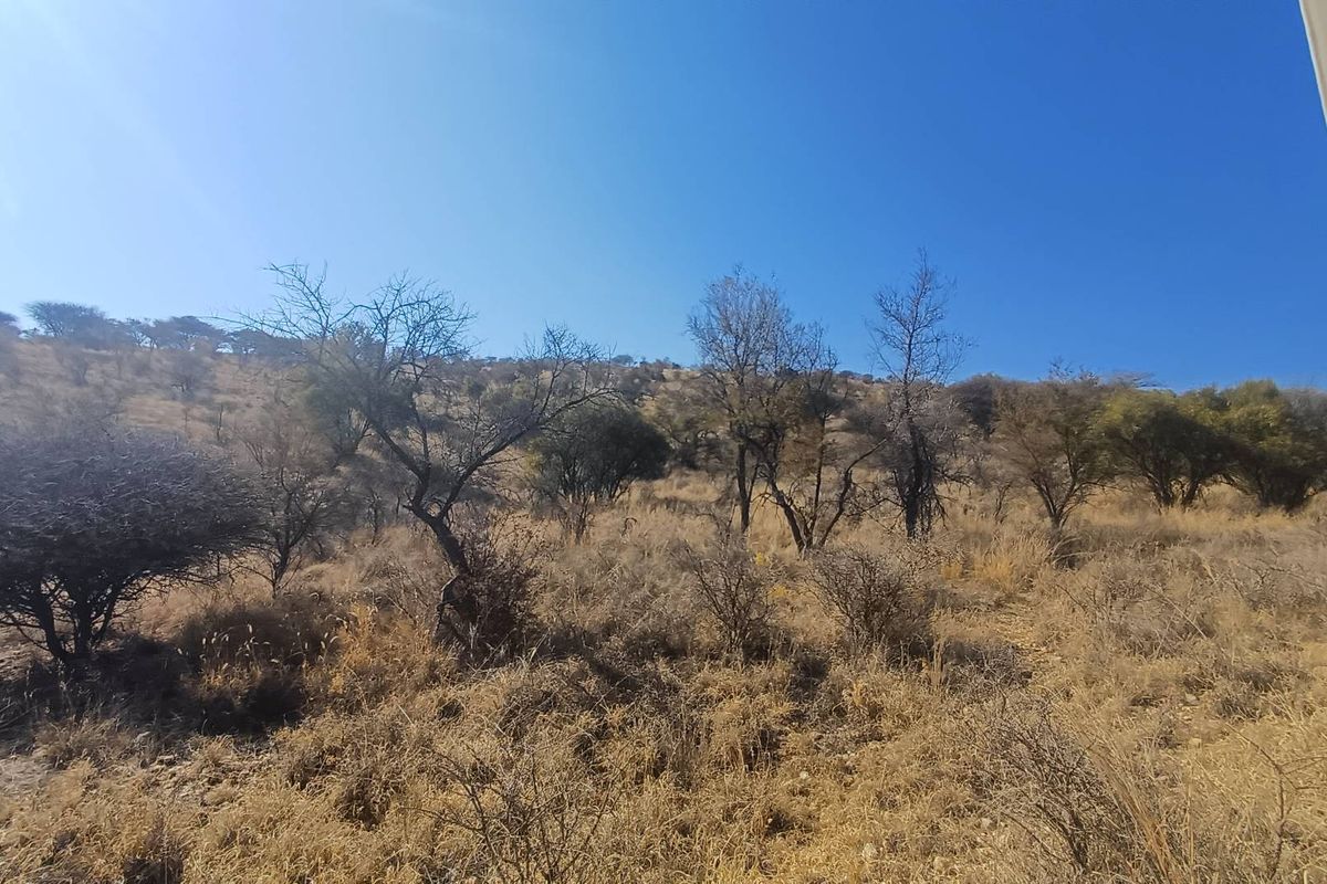 A wide-angle view of the natural landscape featuring dry vegetation and scattered trees on a hillside under a clear blue sky.
