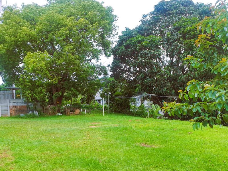 A spacious, well-maintained backyard featuring a large lawn area, mature trees, and established boundary fencing.