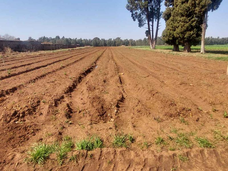 Prime 17.8 Hectare Vegetable Farm for Sale in Eikenhof Johannesburg - Photo 2