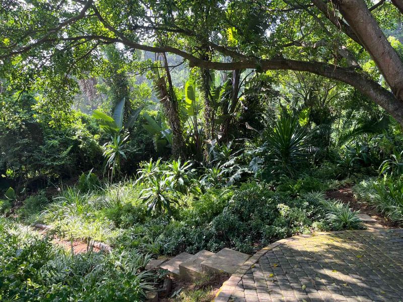 Beautifully apartment in Zimbali Plantation offers a fantastic opportunity for anyone looking for a stylish, low-maintenance home in a prime location - Photo 3