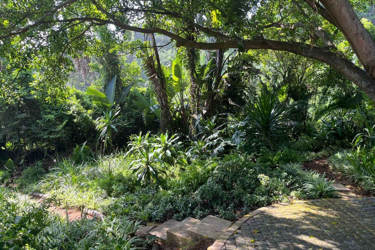 Beautifully apartment in Zimbali Plantation offers a fantastic opportunity for anyone looking for a stylish, low-maintenance home in a prime location - Photo 3
