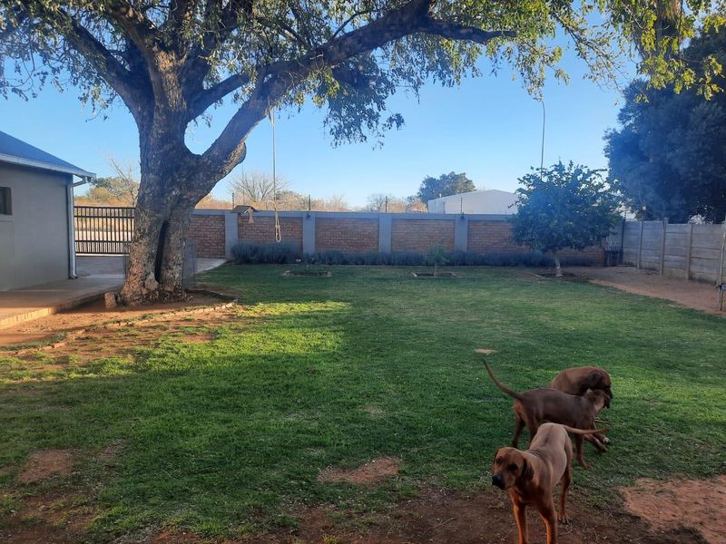 Spacious Secure 4-Bedroom Family Home with Premium Extras for Sale, Tsumeb Namibia - Photo 8