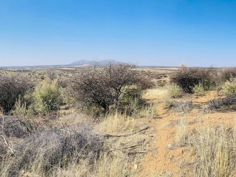 A panoramic view of the natural landscape featuring native shrubs and dry grasses under a clear blue sky.