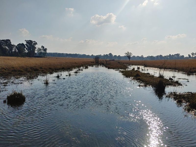 122 Hectares of Your Own Private Game Reserve - A Legacy To Last Generations - Photo 3