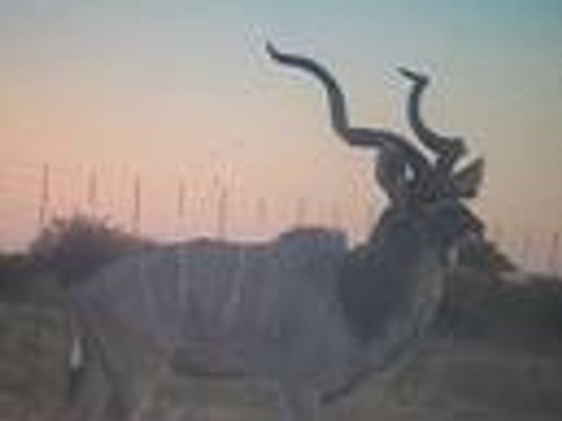 PROPERTY IN AREA OF OTJIWARONGO FOR SALE - Photo 7