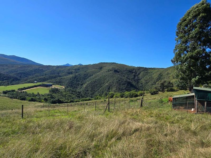 Spectacular Ruiterbos Farm with River Frontage & Panoramic Views - Photo 8