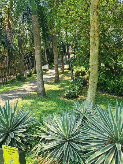 Property #2442717, House For Sale in St Lucia Central