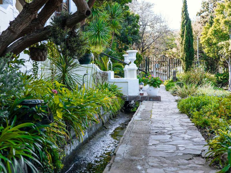 Magnificent Victorian Manor Estate - A Rare Landmark Opportunity! - Photo 6