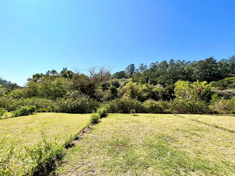 A spacious, well-maintained garden area featuring a large lawn and mature surrounding trees, offering a peaceful outdoor setting.