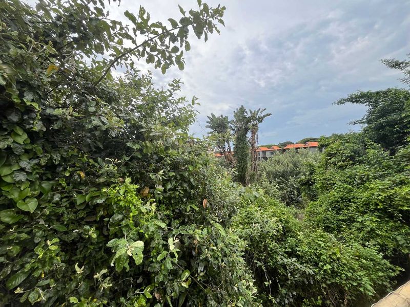 Prime Vacant Land in Zimbali – One of the Last Remaining Opportunities. - Photo 7