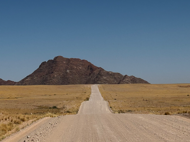 Untouched Desert Beauty - Photo 9
