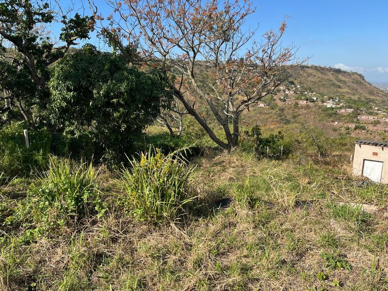 Massive Vacant Land for Sale in Nagina - Photo 4