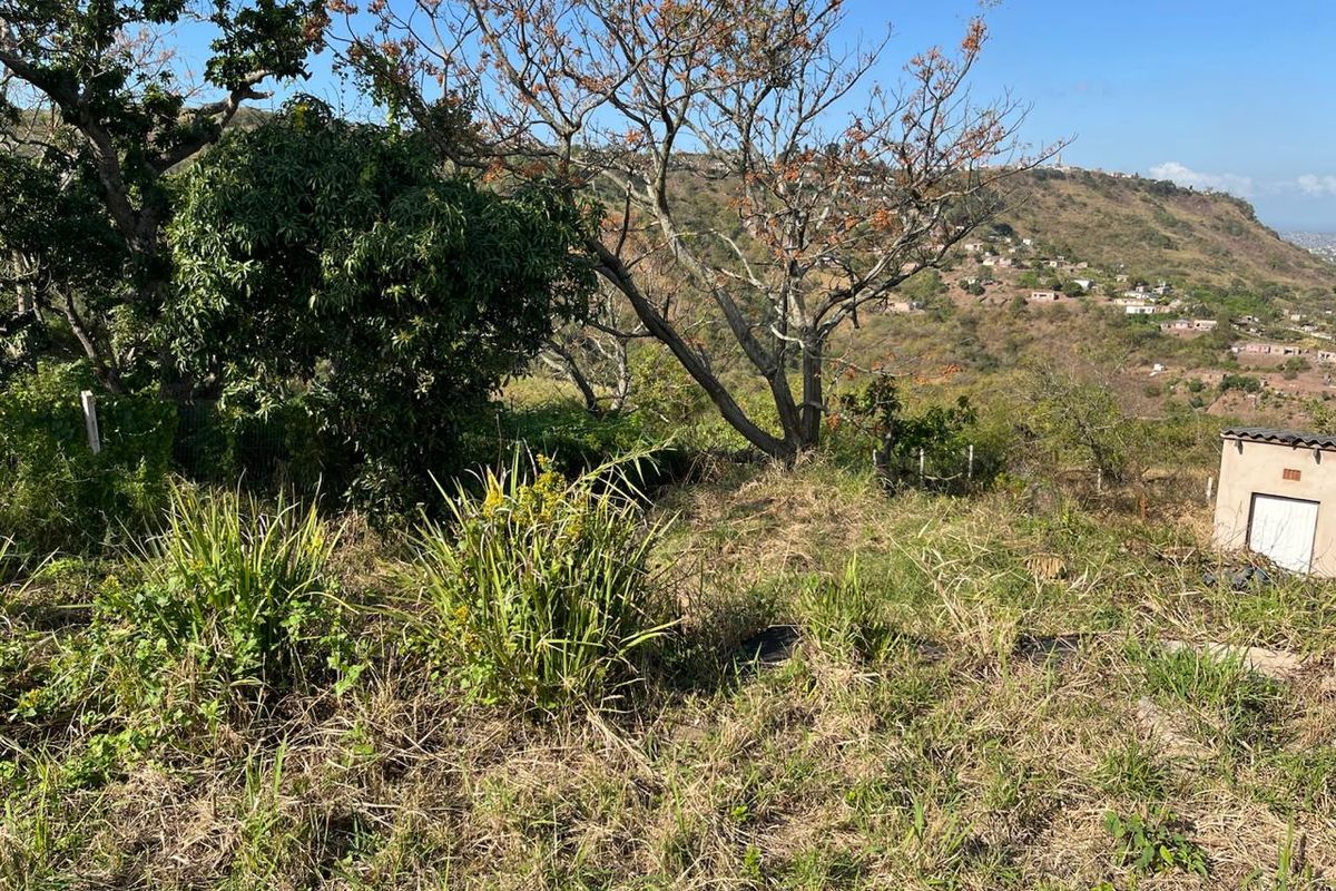 Massive Vacant Land for Sale in Nagina - Photo 4