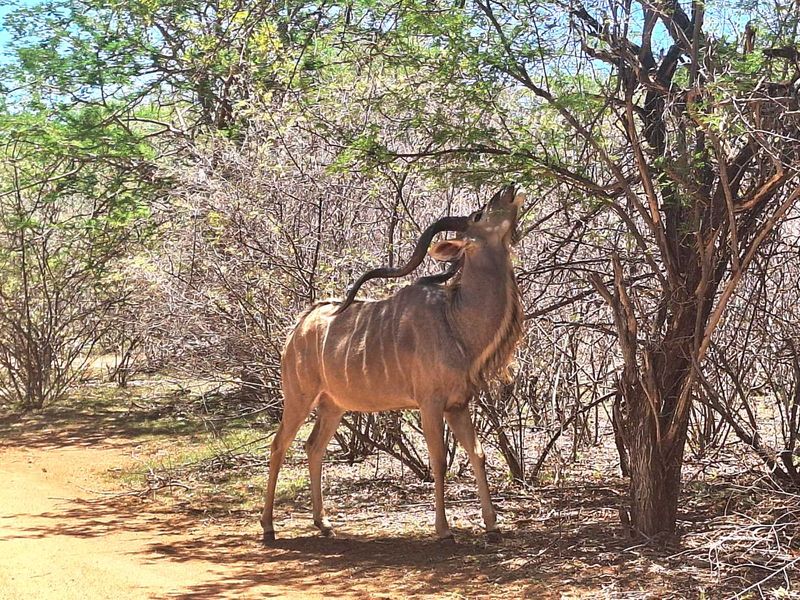 500m2 Stand in Prime Location - Photo 6