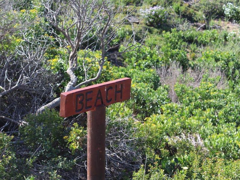 Bosbokduin Bliss - Photo 10