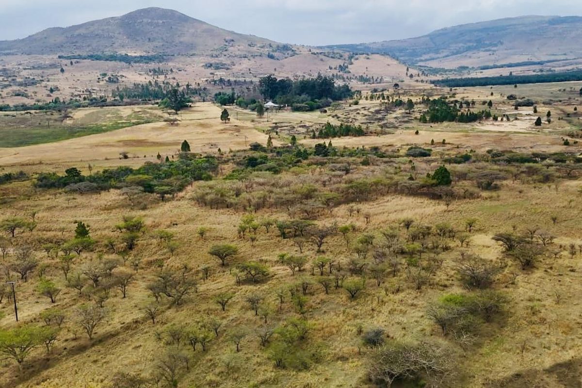 Farm for sale towards Hlobane Area - Photo 3